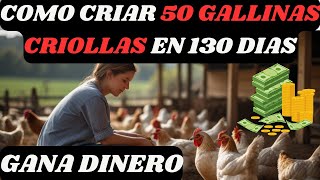 Los secretos de la cría exitosa de gallinas criollas [upl. by El]