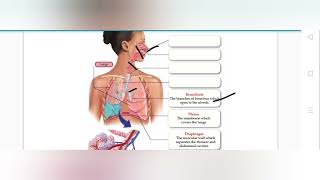 CLASS 9 CHAPTER 3 RESPIRATION AND EXCRETION PART 1 [upl. by Lontson]