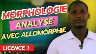 Analyse en Morphème  Avec Allomorphie [upl. by Stagg]