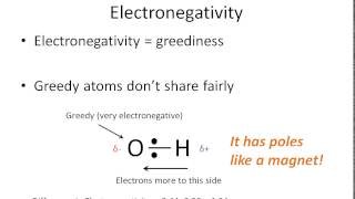 How To Tell if a Bond is Polar or Nonpolar the super easy way [upl. by Reivaz]