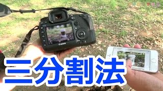 【初心者】これがプロの技！カフェのドリンクを雰囲気よく撮る方法【カメラ】 [upl. by Yarrum340]