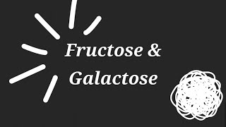 Fructose And Galactose Explained  Biochemstry  تحليلات مرحلة ثانية كيمياء حياتية  Lecture 3 [upl. by Yeblehs]