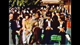 quotBeatlemaniaquot cast interview 1978 [upl. by Zed]