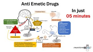 Pharmacology of Emesis Anti emetic Drugs Part  2 [upl. by Nekcarb]