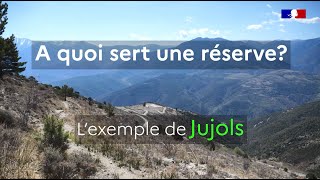 A quoi sert une réserve Lexemple de Jujols [upl. by Malet]