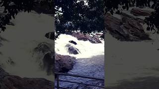 Just let flow🥰🥰riverflow shortsvideos [upl. by Aevin709]