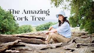 The Amazing Cork Tree [upl. by Pruter]