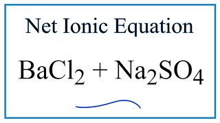 How to Write the Net Ionic Equation for BaCl2  Na2SO4  BaSO4  NaCl [upl. by Tattan]