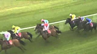 2011 Piper Heidsieck Champagne Brigadier Gerard Stakes [upl. by Trinity496]