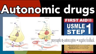 Autonomic drugs amp their mechanism of actions Amphetamines Reserpine Botulinum etc in HindiUrdu [upl. by Schnurr]