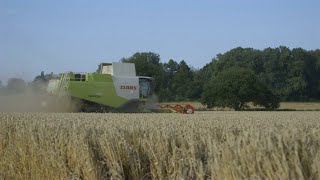 Volle Ladung Ernte bei AGRAVIS auf Hochtouren [upl. by Reube]