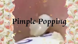 Pimple amp Blackheads Popping  30 [upl. by Baron]