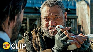 The Bowery King Scene  John Wick Chapter 2 2017 Movie Clip HD 4K [upl. by Aneg]