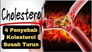 4 Penyebab Kolesterol Susah Turun yang harus kita ketahui [upl. by Pelletier]