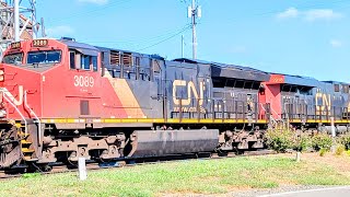 All Canadian National lash up incl midtrain DPU on CSX B241 heading railroad West S at Benson St [upl. by Eyeleen]