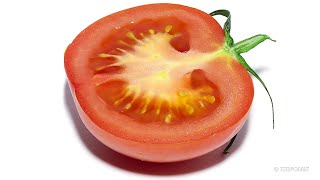 Tomato [upl. by Ariaec]