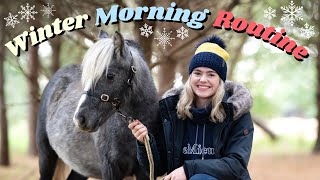 MORNING ROUTINE of an Equestrian  Winter 20212022  This Esme AD [upl. by Colfin]