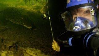 Nile Crocodiles Diving with a deadly predator [upl. by Ramyar]