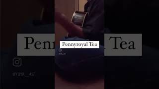 Nirvana  Pennyroyal Tea cover [upl. by Onfroi]