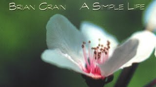 Brian Crain  A Simple Life Full Album [upl. by Irwin612]