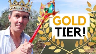 quotGold Tierquot Etoro Memberships [upl. by Airetas]