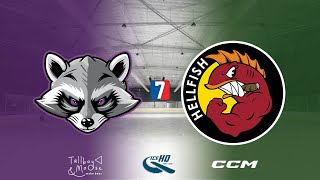 Trash Pandas VS Hellfish Div 7  19th October  IceHQ Rec League ice hockey [upl. by Aneehs]