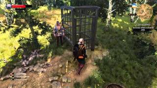 The Witcher 3 person in distress glitch [upl. by Refenej337]