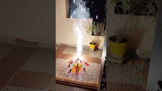 Dipavali celebrations Home diwali crackers diya jagtial home familytimeshortsviral shorts [upl. by Rickie]