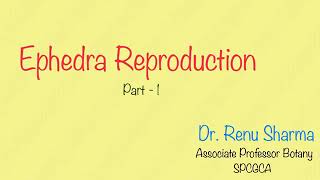 Ephedra  Reproduction Part1  Dr Renu Sharma [upl. by Uchish]