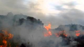 Aprendiendo a apagar Incendios Forestales  Corrientes  Argentina [upl. by Napas291]