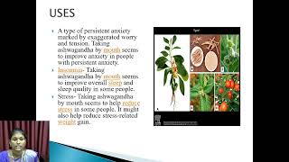 Chemical Composition of Medical Plant  VHNSNCollege Autonomous [upl. by Hollenbeck]