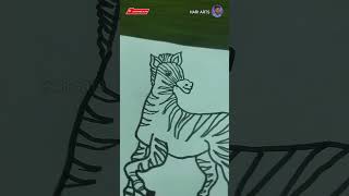 Zebra 🦓  Zebra drawing zebraart zebrashorts drawing zebradrawing shortszebra Zebraviral Hari [upl. by Curcio]