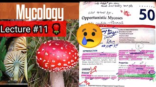 Opportunistic Mycoses 🛑 Chap 50 part 2 candida cryptococcus aspergillus mucor rhizopus [upl. by Htnnek]