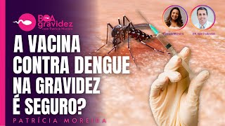 DENGUE  A vacina contra dengue é segura na gravidez e para lactantes [upl. by Nella]