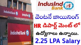 Indusind Bank Latest Recruitment 2024  Bank Jobs For Freshers  Bank Jobs Telugu [upl. by Nnaxor342]