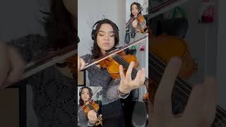 Toss a Coin to Your Witcher Violin Cover violin [upl. by Irehc]