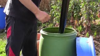 Best Top 3 ways to Make Comfrey Concentrate Liquid Feed [upl. by Charmian]