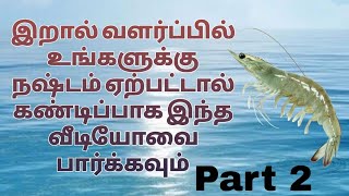 biofloc shrimp farming tamilnadu [upl. by Tilney]