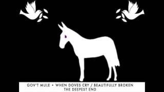 When Doves Cry  Beautifully Broken  Govt Mule The Deepest End [upl. by Znerol943]