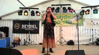 Mundharmonika Festival Klingenthal 2015 11  TRIONA [upl. by Eilime]