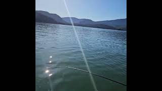 Rimrock Lake Washington Kokanee Fishing Part 2 [upl. by Yud]