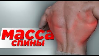 4 лютых упражнения для роста массы спины [upl. by Lenrow]