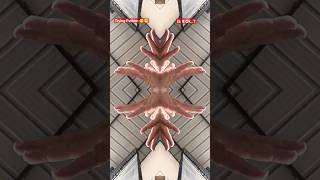 Pattern Making kaleidoscope effects pattern patterns new youtubeshorts trending [upl. by Yurt]