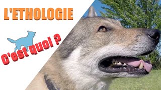 Question déthologie 1  Léthologie [upl. by Knitter621]