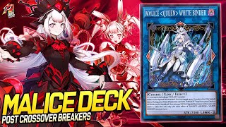 Deck Maliss EDOPRO  Replays 🎮  Decklist ✔️ [upl. by Aeslek361]