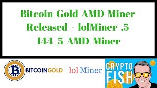 Bitcoin Gold AMD Miner Released  lolMiner 5 1445 AMD Miner [upl. by Welcome727]