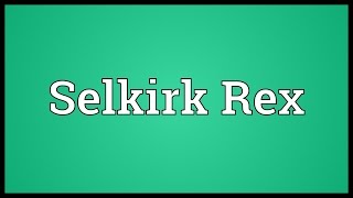 Selkirk Rex Meaning [upl. by Airamak955]