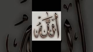 beautiful Allah shortvideos viralvideos [upl. by Ylrebnik]