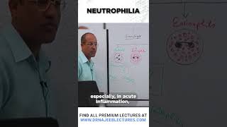 Neutrophilia drnajeeb shortvideo medicalstudent [upl. by Onailime428]