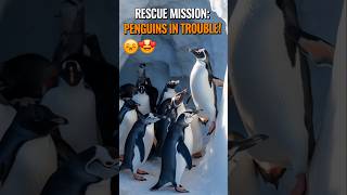 Trapped in Antarctica Penguins Story 🐧🕳️ shortsviral [upl. by Maury]